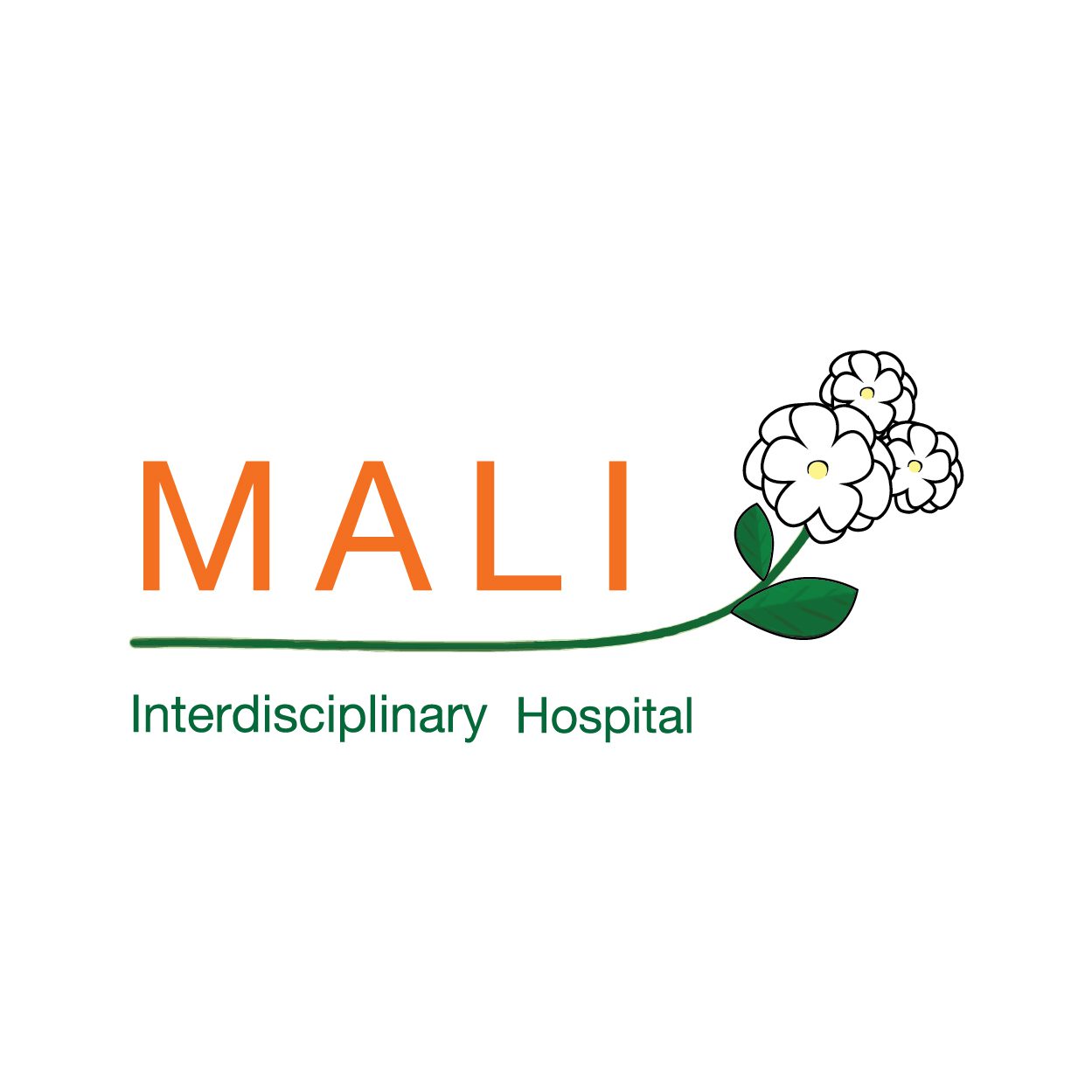 Mali Interdisciplinary Hospital